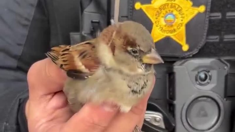 Cuyahoga County deputy escort visitor whose ‘feathers were clearly ruffled’