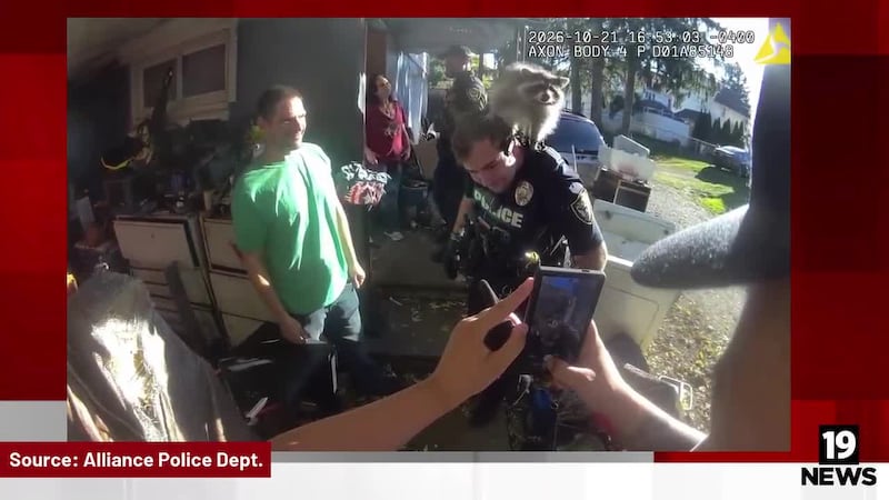 An Alliance police officer said while attempting to arrest a fugitive Wednesday, he was...