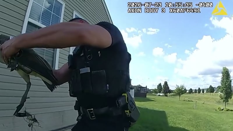 North Ridgeville officer bodycam rescuing goose from fishing line