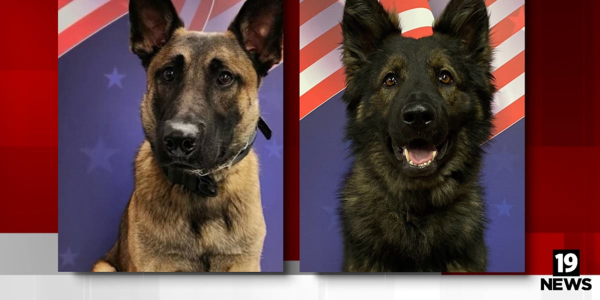 Portage County Sheriff’s Office, K9s looking for suspect running from ...