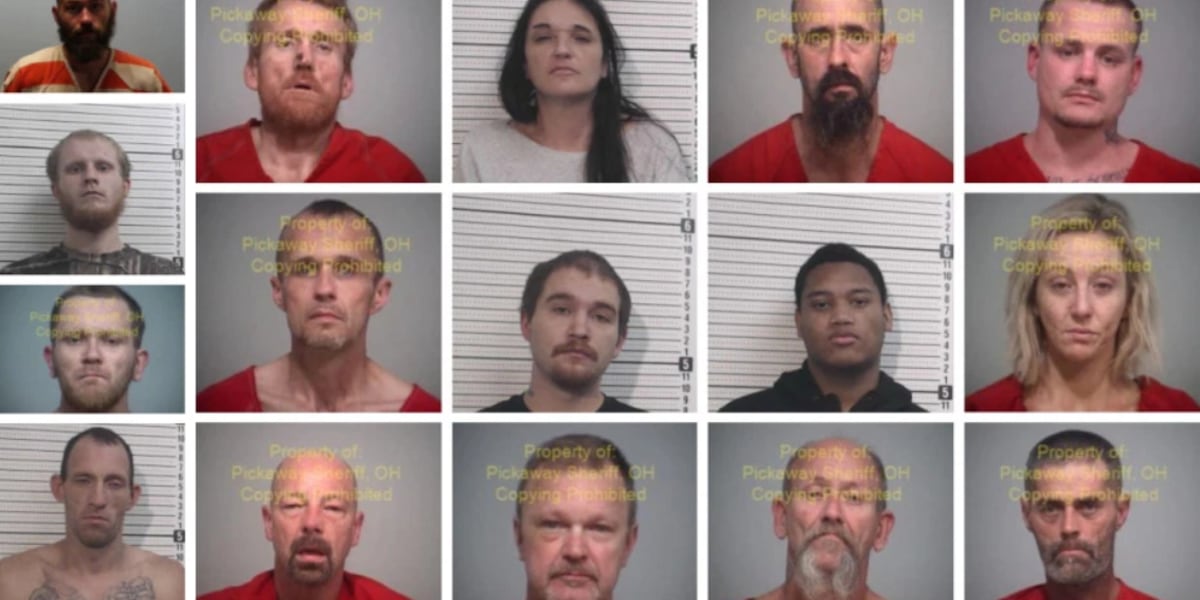 Busted Allen County Ohio