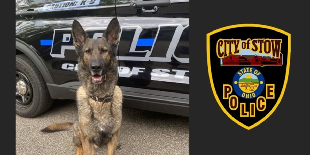 Brewing Locally Image