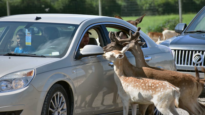 African Safari Wildlife Park