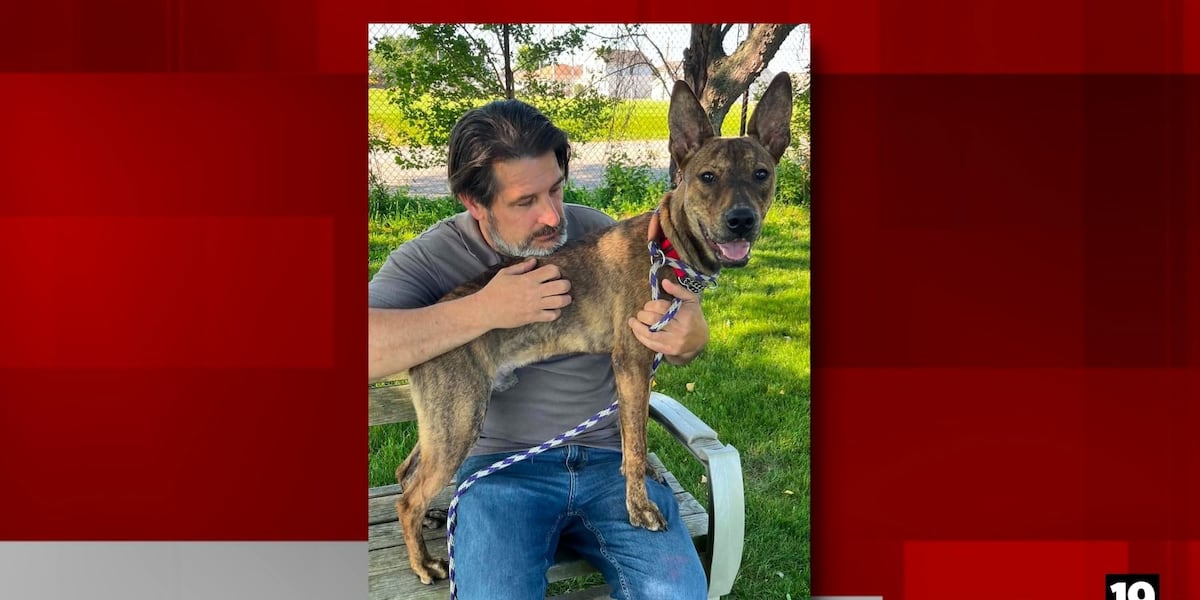 Viral dog abandoned at Lorain Skate World finds forever home