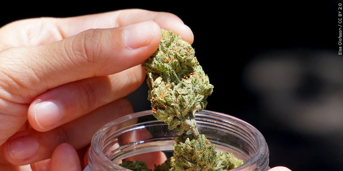 Massive overhaul to Ohio cannabis laws on the way after group fails to ...