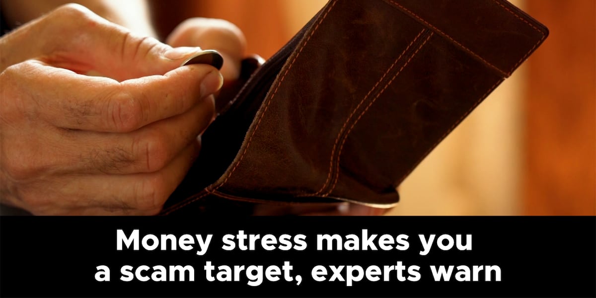Target Scam Money stress makes you a scam target, experts warn