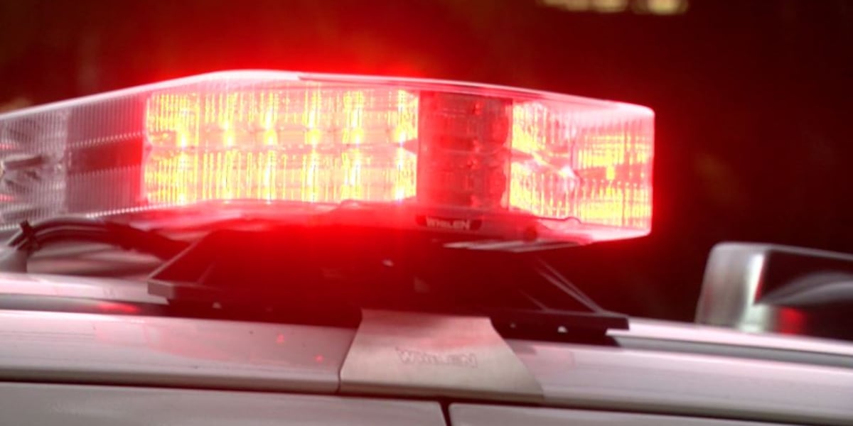 19-year-old falls into Grand River in Painesville and drowns