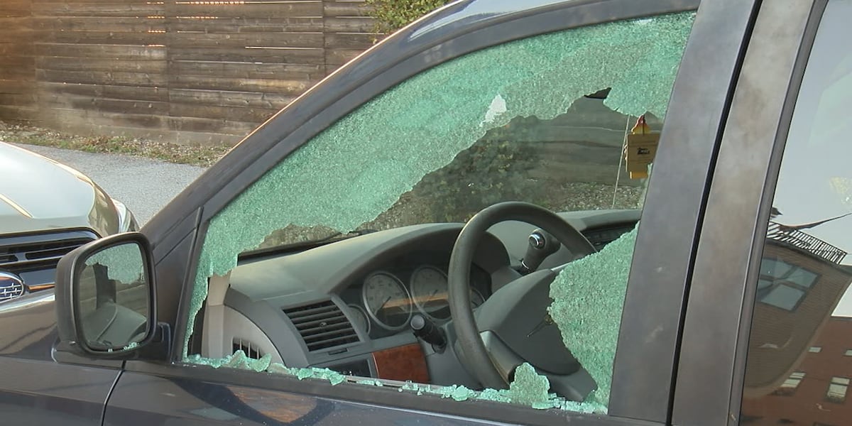 Dozens of car break-ins reported in Ohio City and Detroit-Shoreway neighborhoods Dozens of car break-ins reported in Ohio City and Detroit-Shoreway neighborhoods