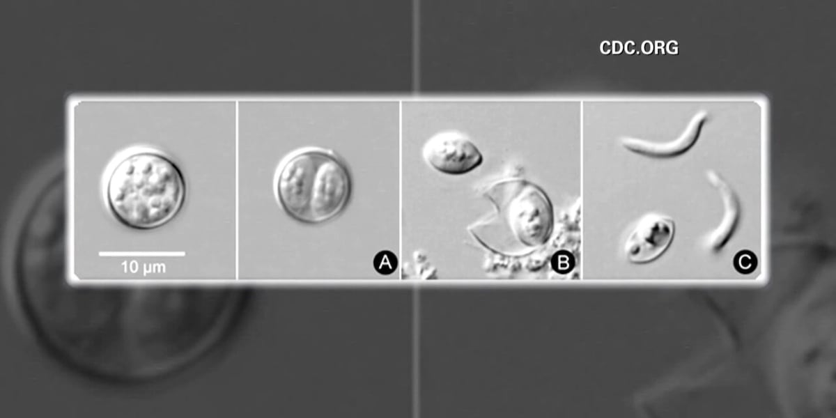 Cyclosporiasis outbreak: Ohio cases surge as CDC works to identify source