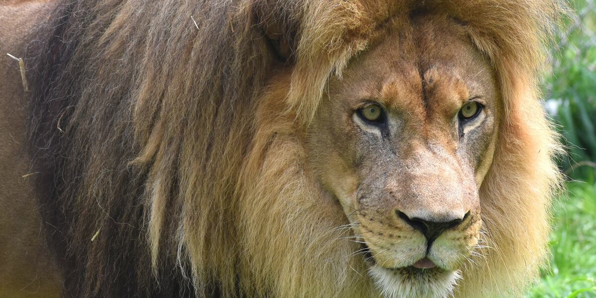 Brewing Locally Image