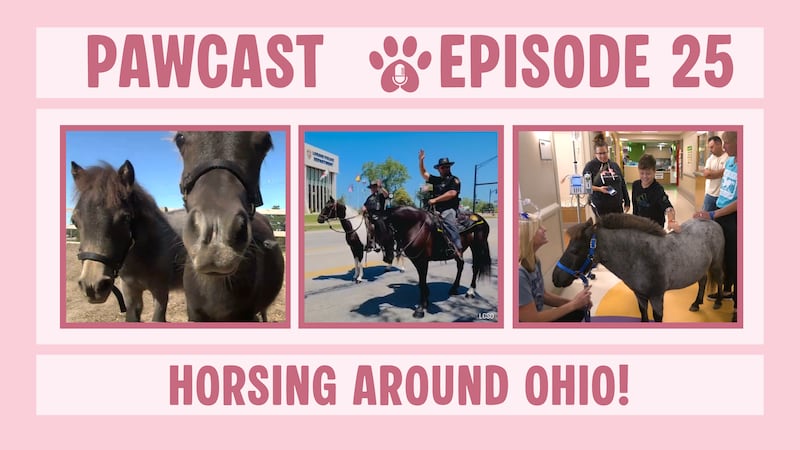 Pawcast, Episode 25: Saddle up, we’re horsing around Ohio!