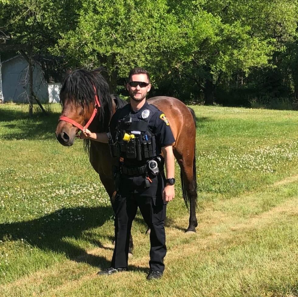 Springfield Township officer corrals rogue horse galloping through neighborhood