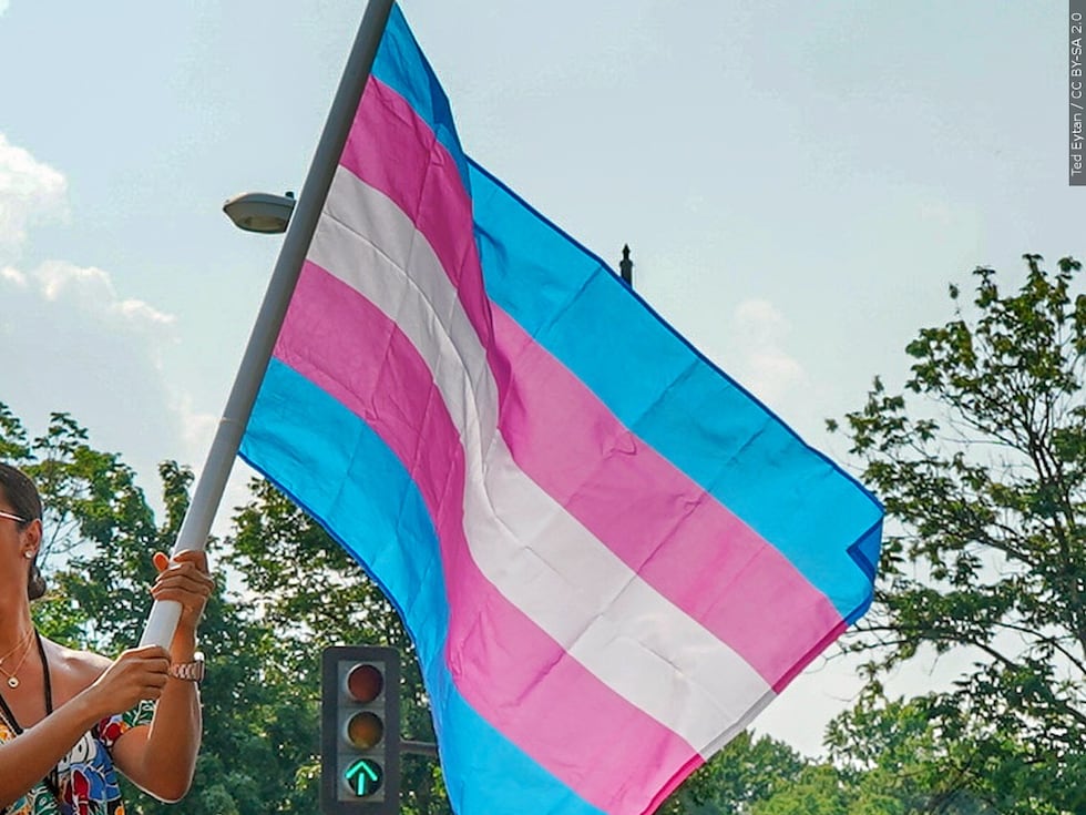 FILE -- Transgender flag shown.