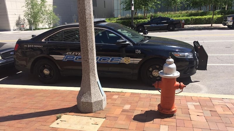 info-1-1 Police vehicle spotted blocking fire hydrant – again