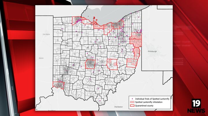 Fly Ohio Map What to know about spotted lanternfly: Northeast Ohio counties under ...