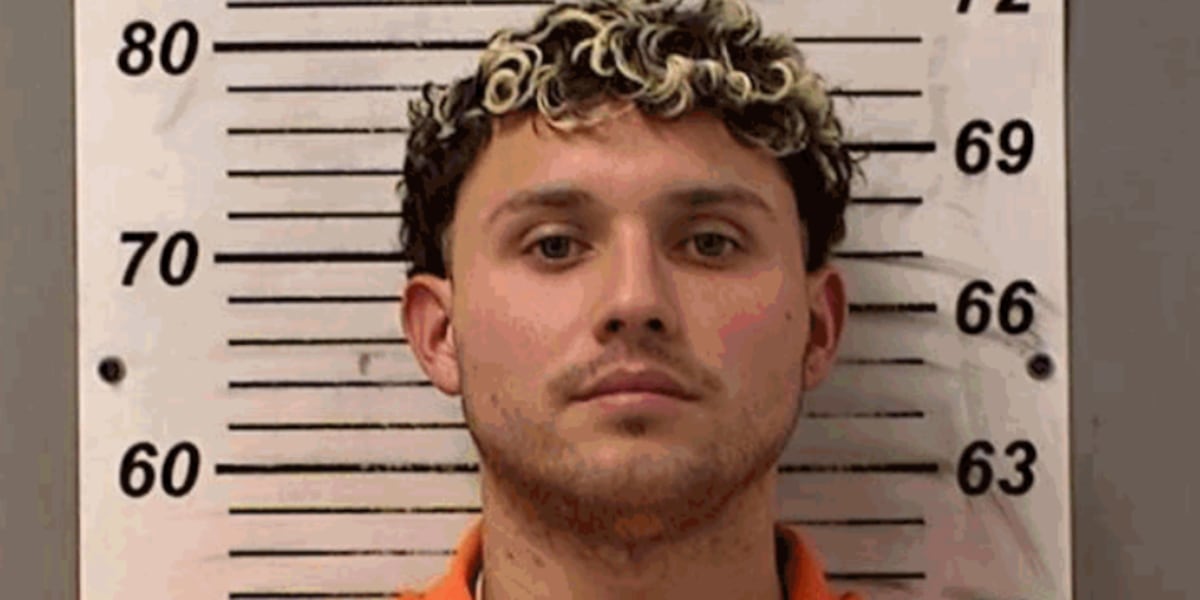 Venezuelan man accused of posing as teen in Perrysburg pleads not guilty