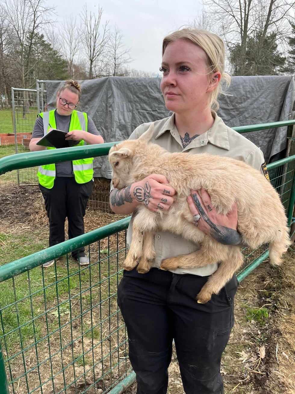 88 ‘suffering’ animals seized from Lorain County farm amongst ‘many dead’