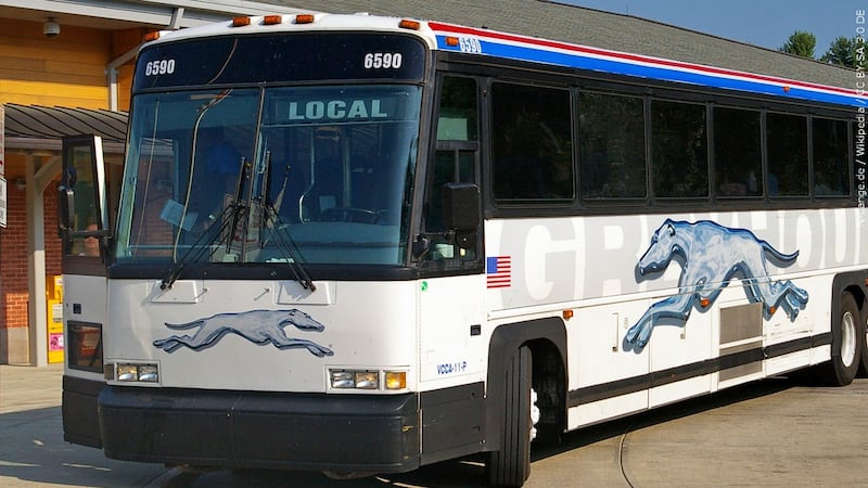 Greyhound bus