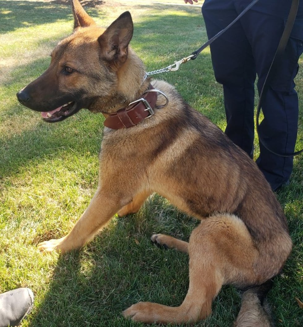 Brunswick Police introduces K-9 Officer Wiley to the department