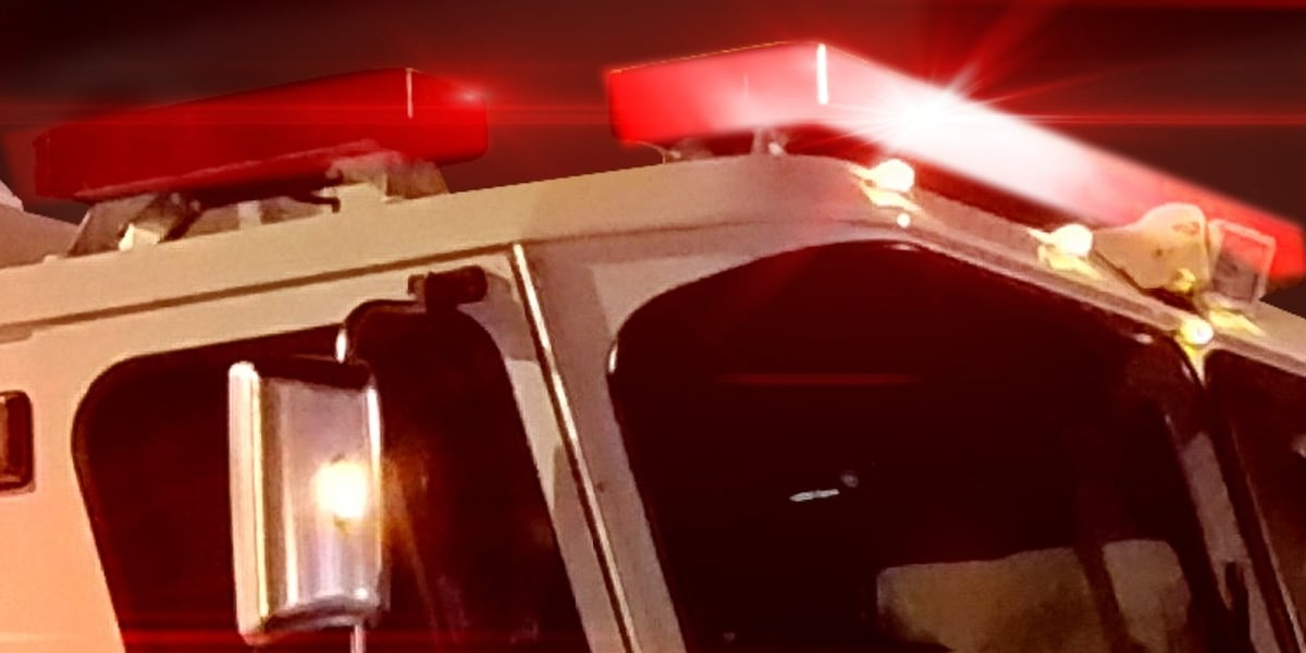 Hungry Canton dog causes small kitchen fire