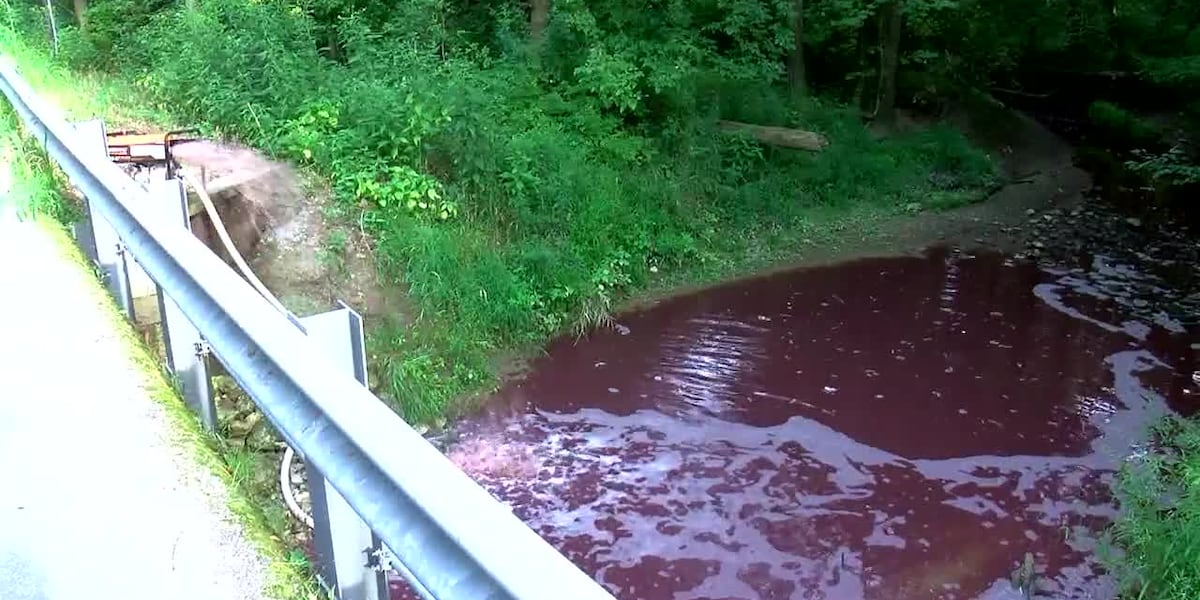 Ohio creek runs red after hog feces contamination