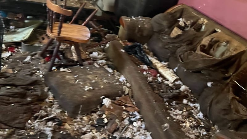 The Columbiana County Humane Society rescued 25 animals from a home on Wednesday.