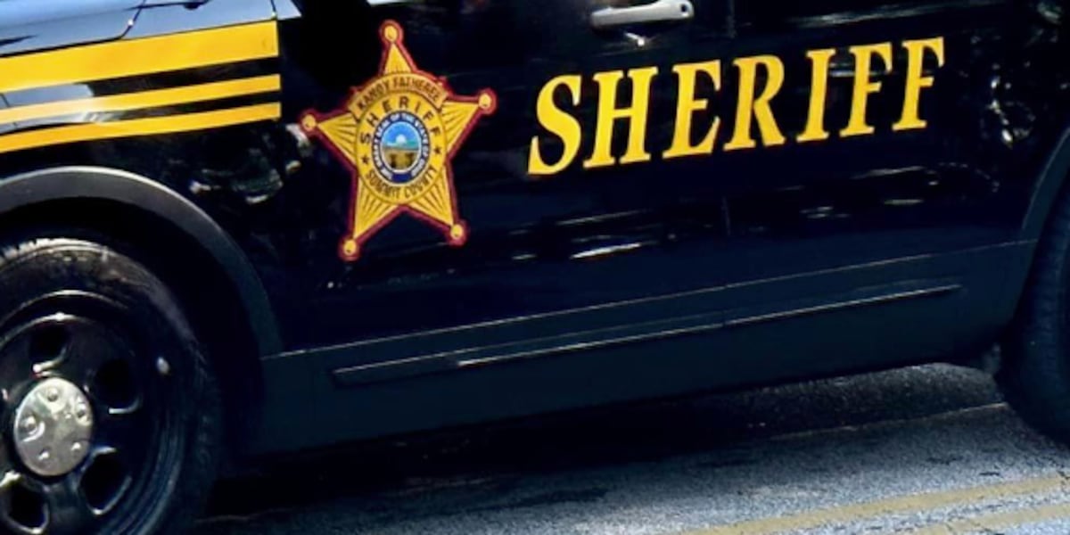 Teen fatally shot by security guard after concert: Summit County ...