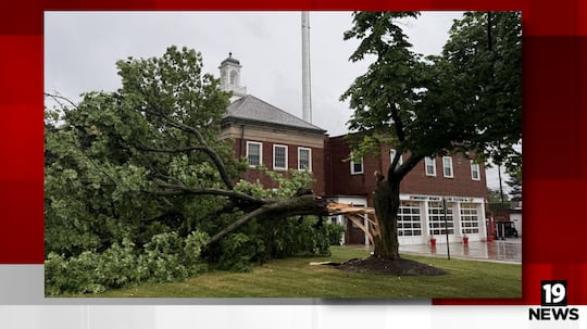 A tree was reported knocked over at University City Hall.