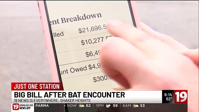 Shaker Heights couple faces $12,000 bill after bat encounter
