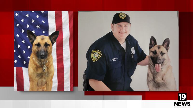 Retired Avon Lake Police K-9 Ady dies at 15