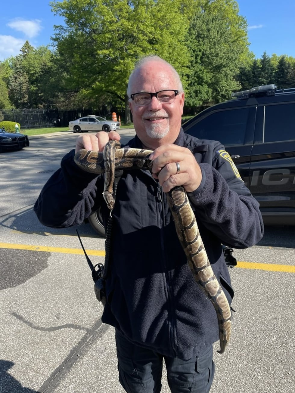 Ball Python apprehended by Westlake police for ‘unwanted slithering’