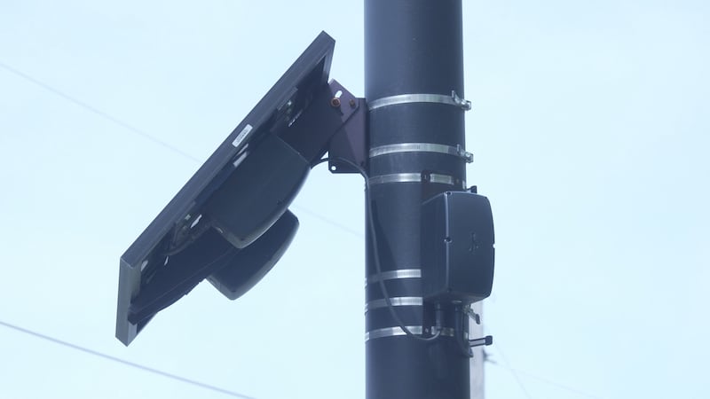 Flock cameras