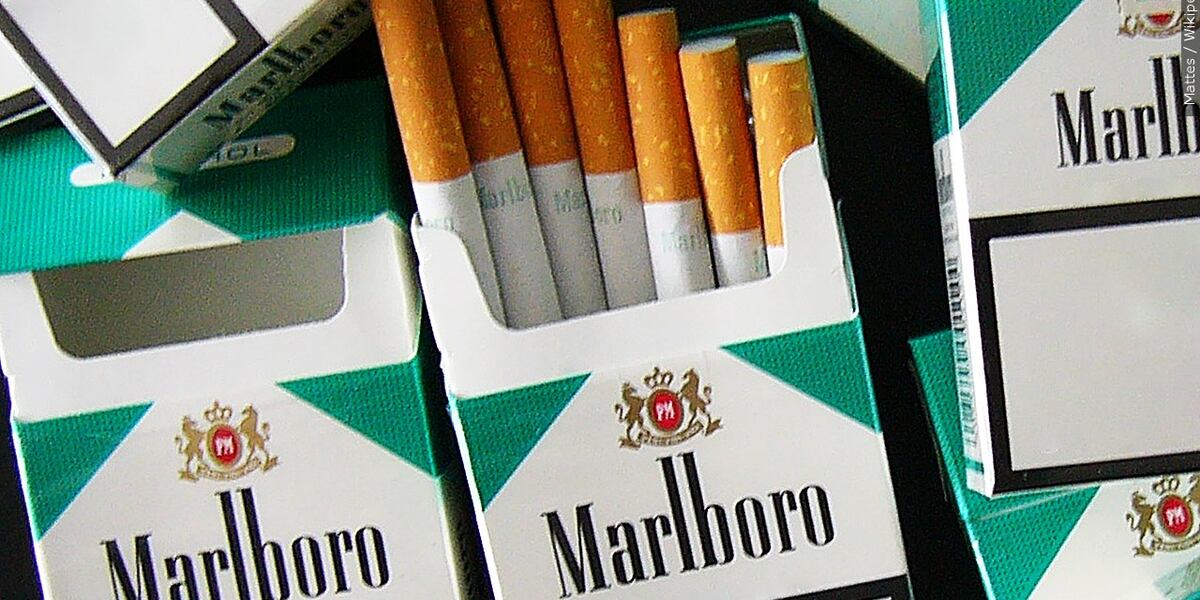 is smoking paper better than cigarettes Safe & Creative Rolling Paper Alternatives To Use in a Pinch is smoking paper better than cigarettes Safe & Creative Rolling Paper Alternatives To Use in a Pinch