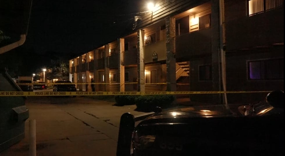 3-year-old shot