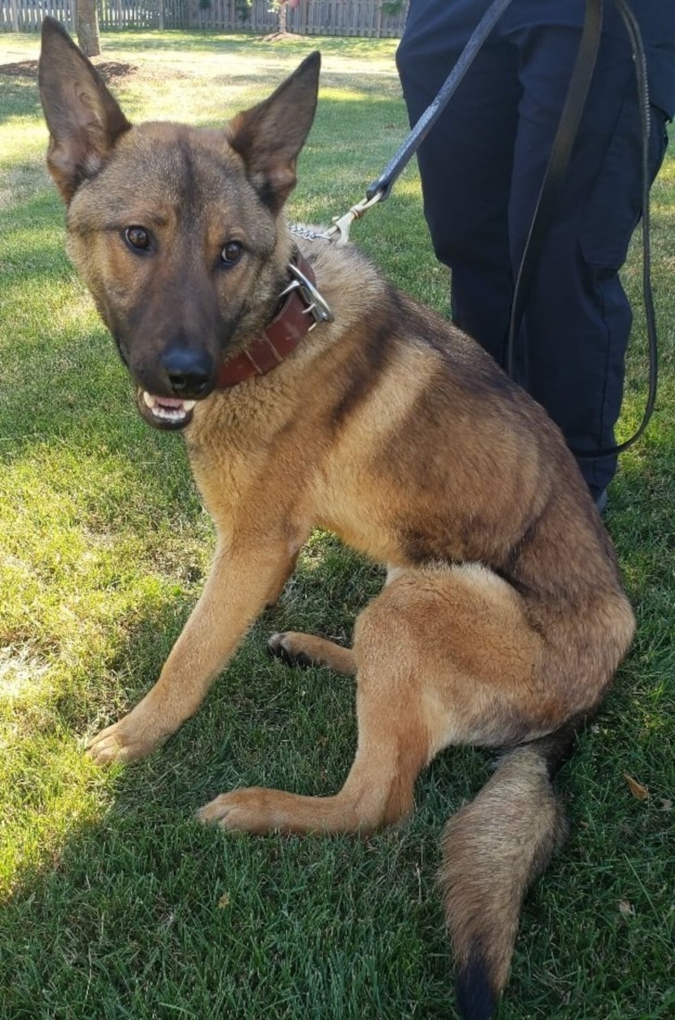 Brunswick Police introduces K-9 Officer Wiley to the department