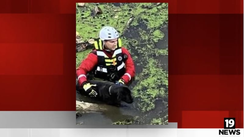 Elyria firefighters rescue dog