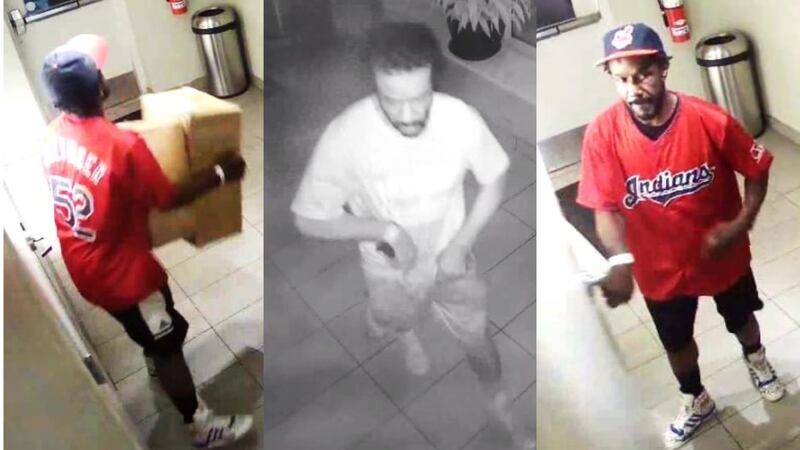 Mitchell's ice cream theft suspect