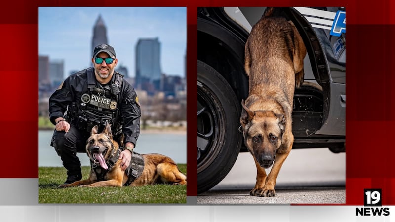 Cleveland police mourn K-9 Ranger after short battle with cancer