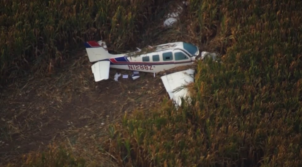 A group of skydivers who saw a small plane go down rushed to the crash site and literally...