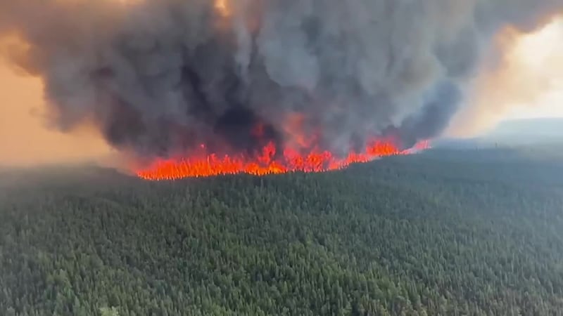 Here's how the wildfire smoke can impact your body. (CNN, BC WILDLIFE SERVICE)