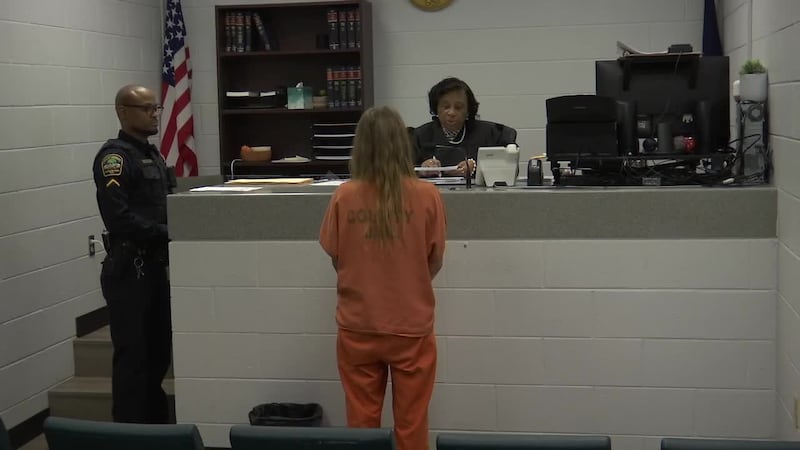 A bond hearing was held for a mother accused for attacking two children with a knife in...