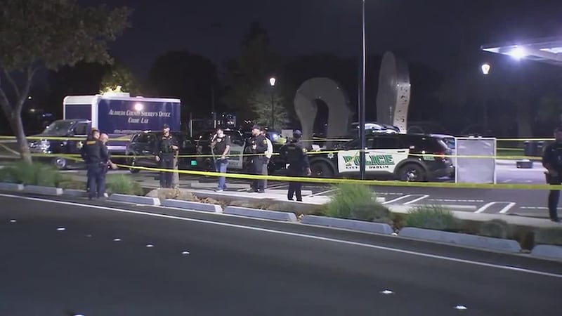 Authorities say a couple in their late 70s shot and killed their son-in-law in a city park...