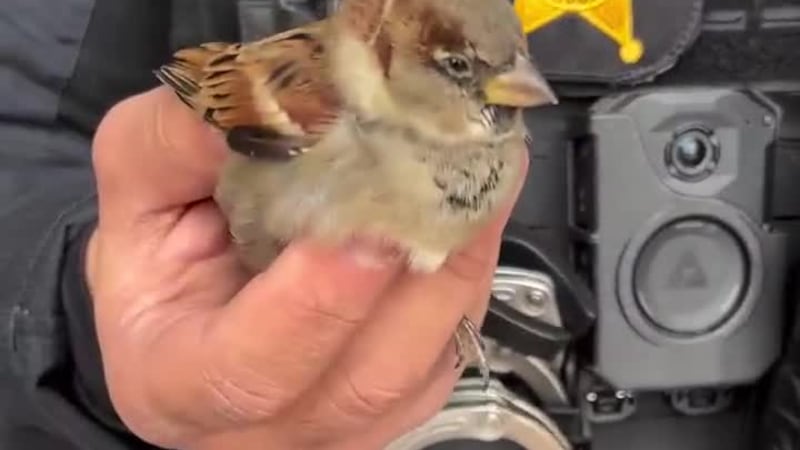 Cuyahoga County deputy escort visitor whose ‘feathers were clearly ruffled’