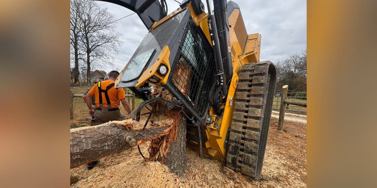 Track Loader Tree Man ‘miraculously’ survives being pinned in track loader by large tree ...